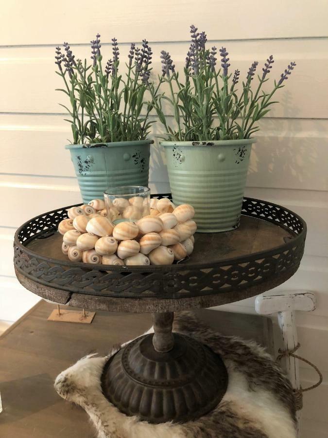 De Kneet Villa Egmond aan Zee Ngoại thất bức ảnh